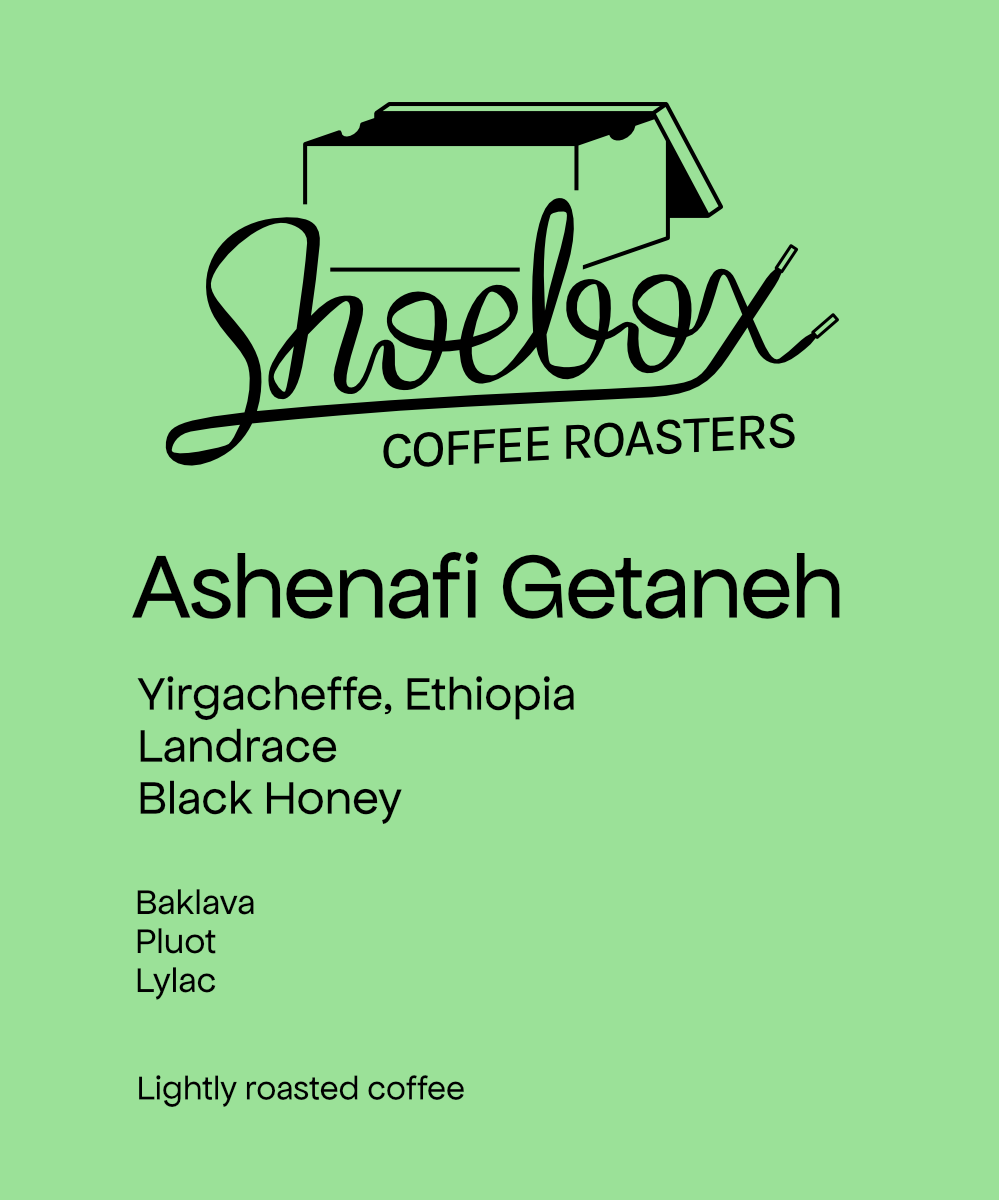 Ethiopia Ashenafi Getaneh Black Honey