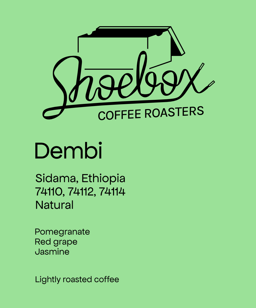 Ethiopia Dembi Natural