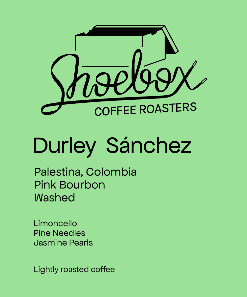 Colombia Durley Sánchez Pink Bourbon Washed