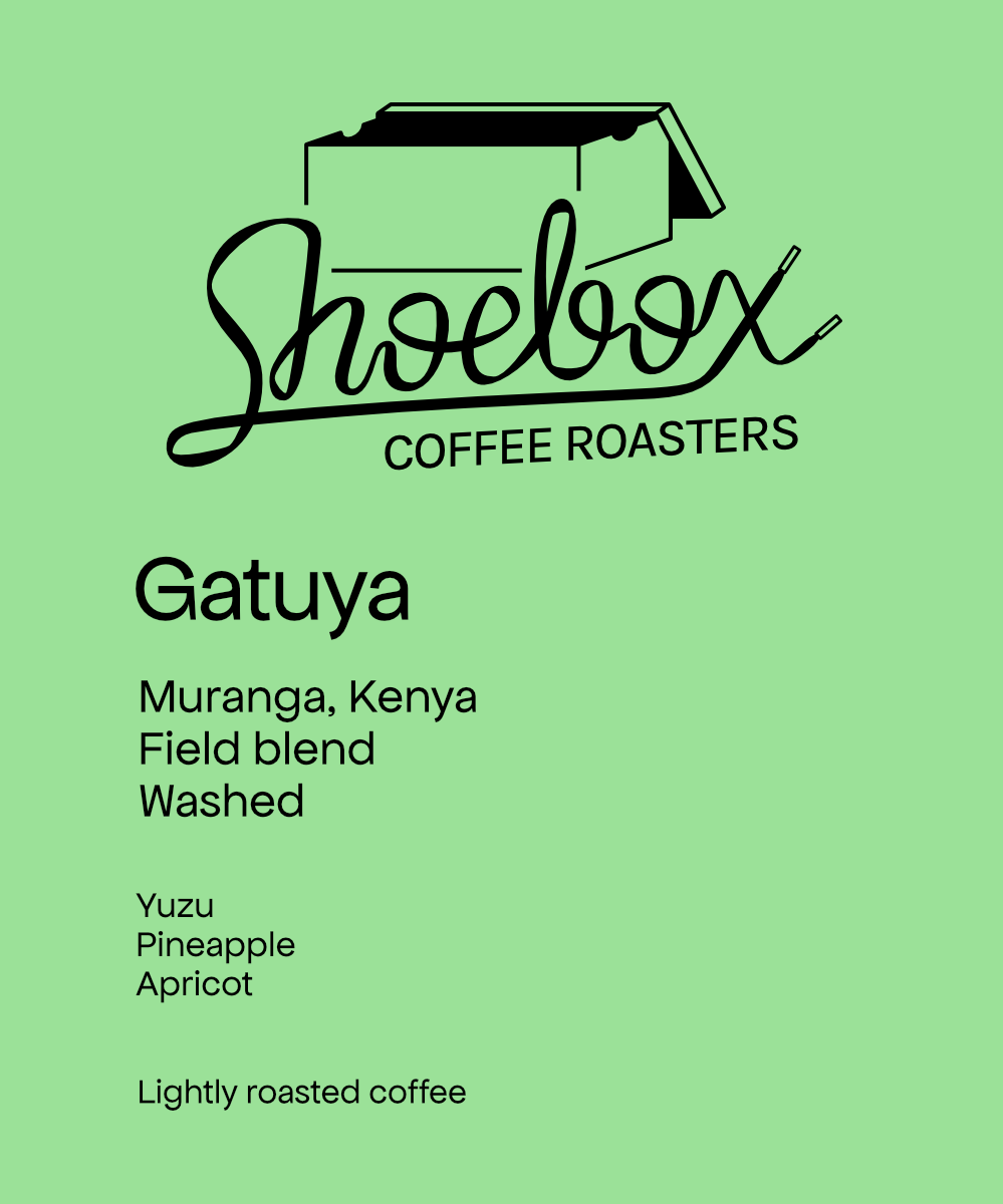 Kenya Gatuya Muranga Washed(2026)