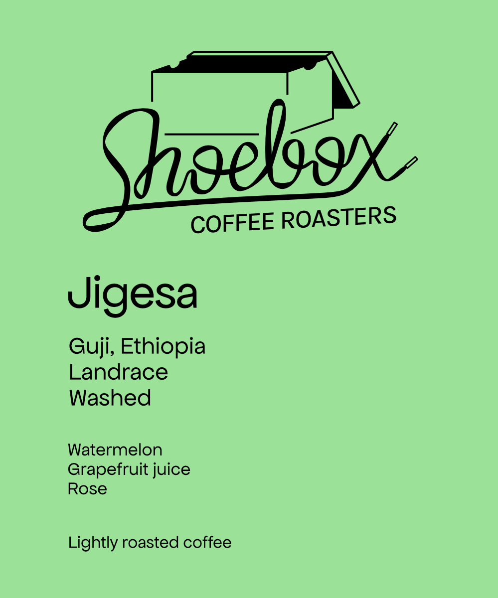 Ethiopia Jigesa Washed