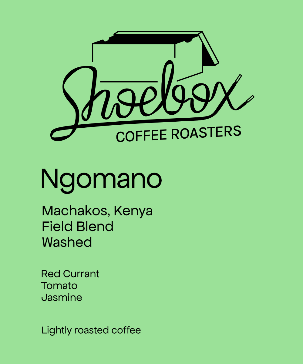 Kenya Ngomano Washed