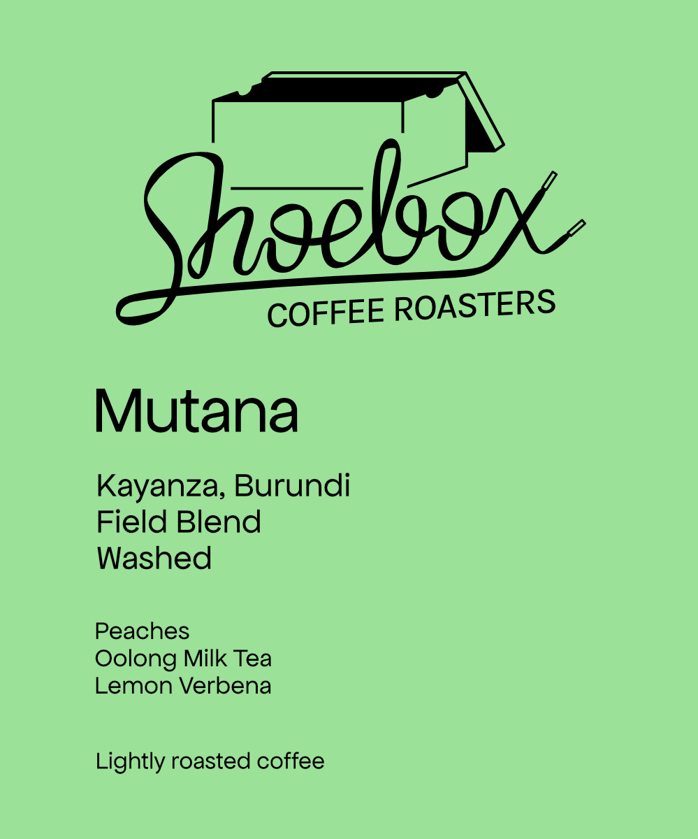 Burundi Mutana Hill Washed