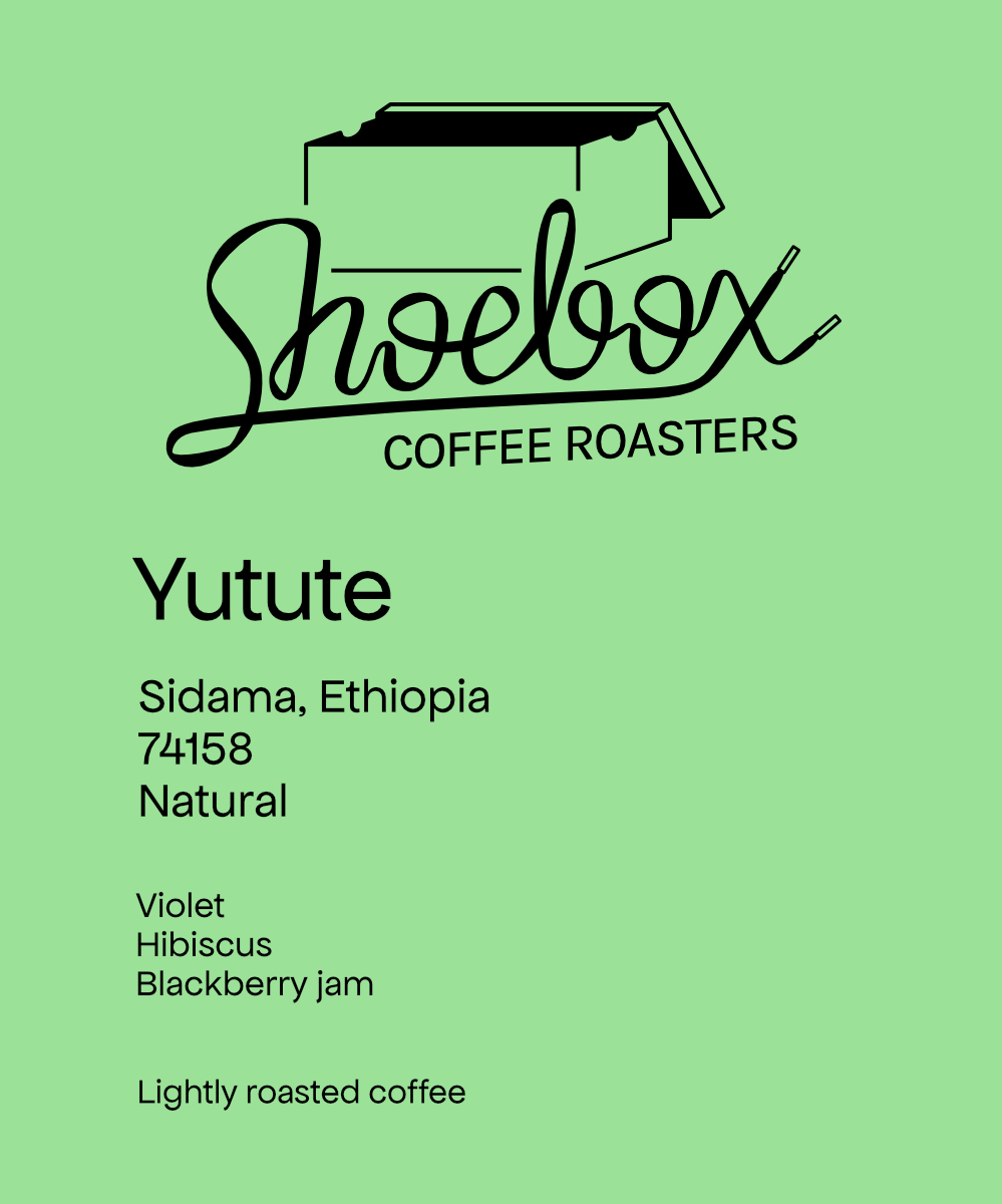 Ethiopia Bekele Yutute Natural