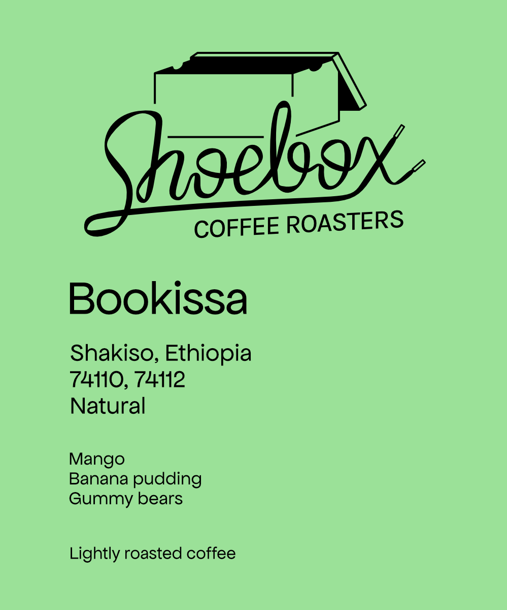 Ethiopia Bookissa Natural