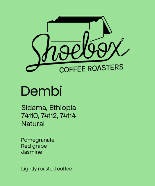 Ethiopia Dembi Natural