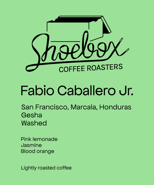 Honduras Fabio Caballero Jr. San Francisco Gesha Washed