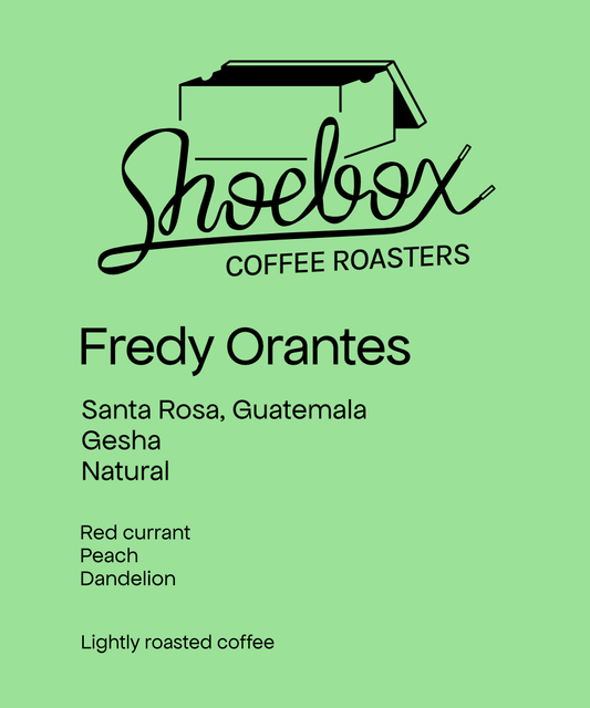 Guatemala Fredy Orantes Gesha Natural