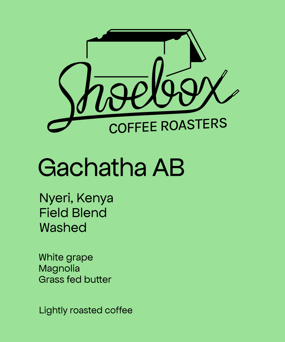 Kenya Gachatha AB Washed(2026)
