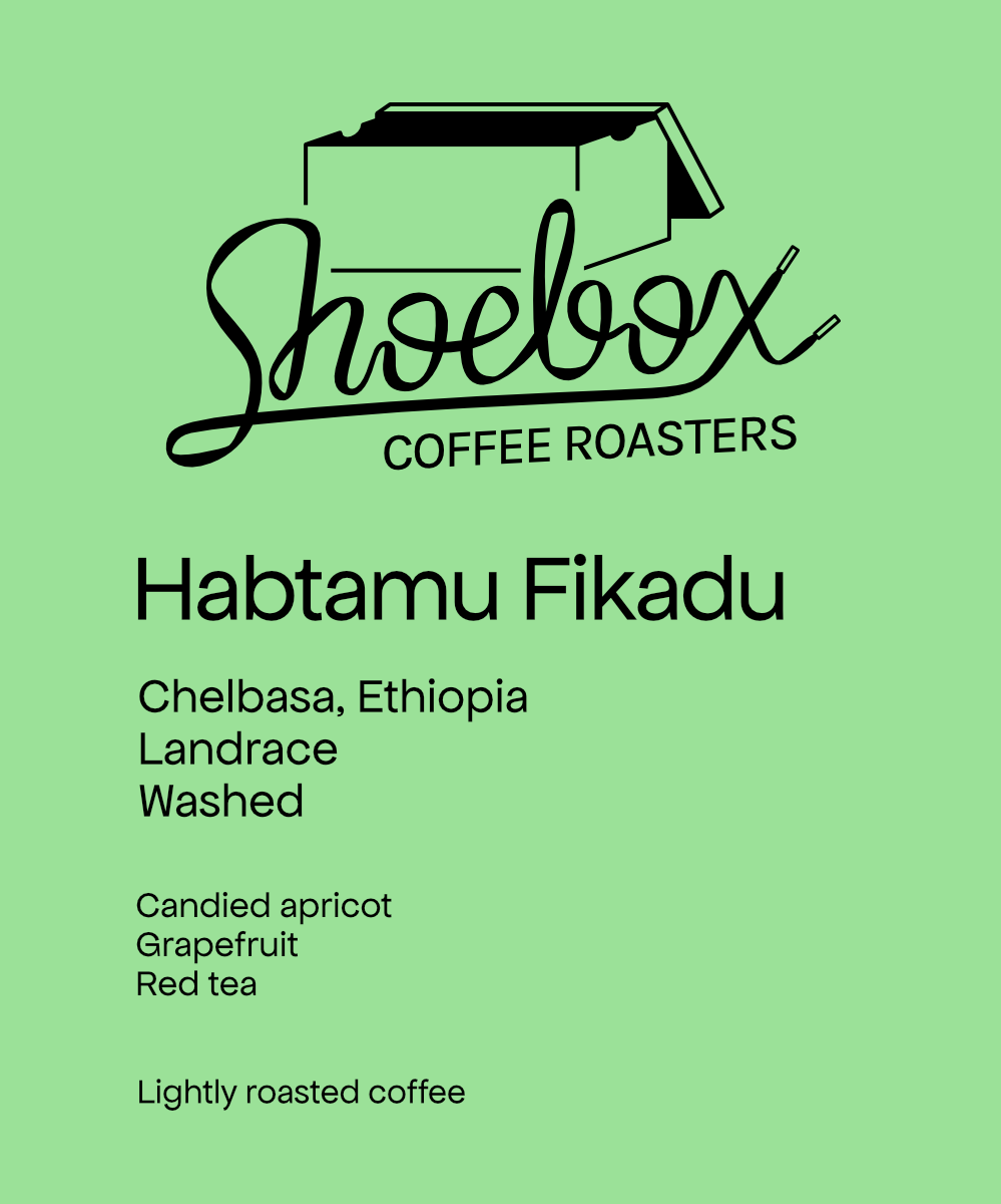 Ethiopia Habtamu Fikadu Aga Washed