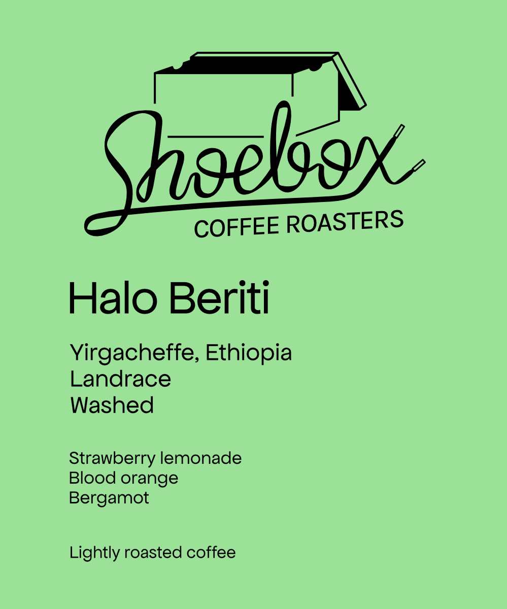 Ethiopia Halo Beriti Washed(2026)
