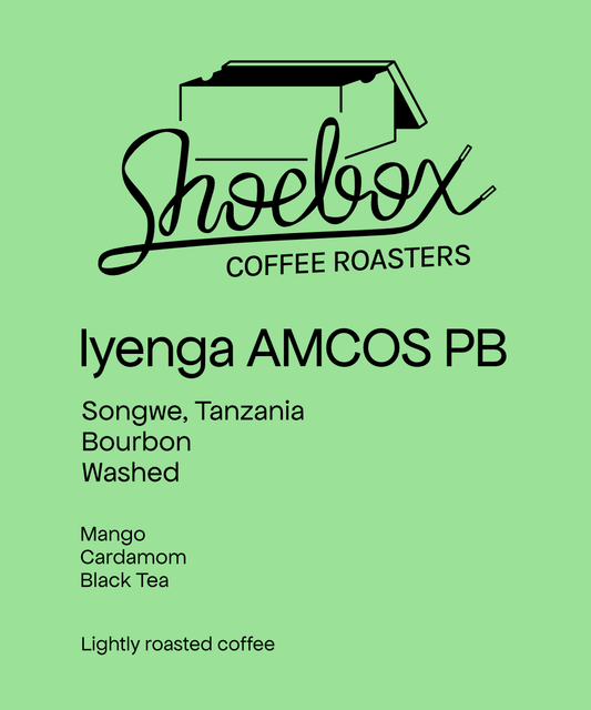 Tanzania Iyenga AMCOS PB Washed