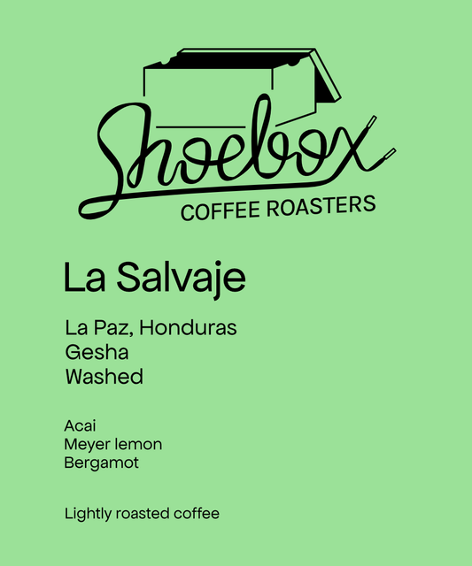 Honduras Fabio Caballero Jr. La Salvaje Gesha Washed