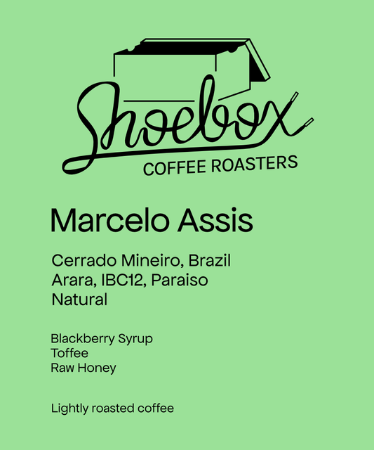 Brazil Marcelo Assis Bioma Natural