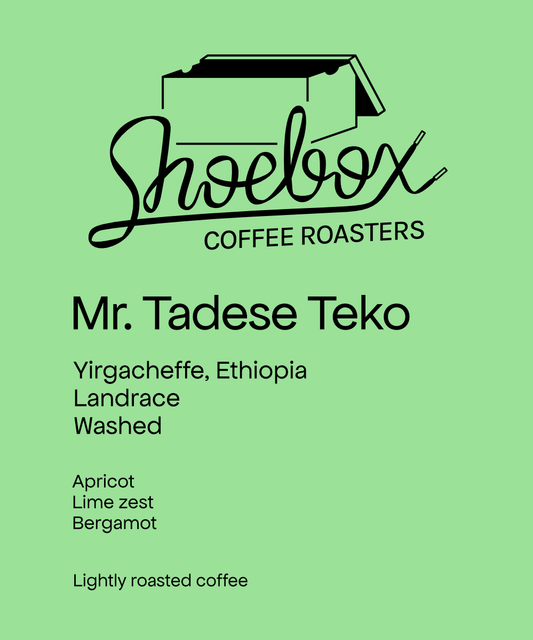 Ethiopia Mr. Tadese Teko Washed(2026)