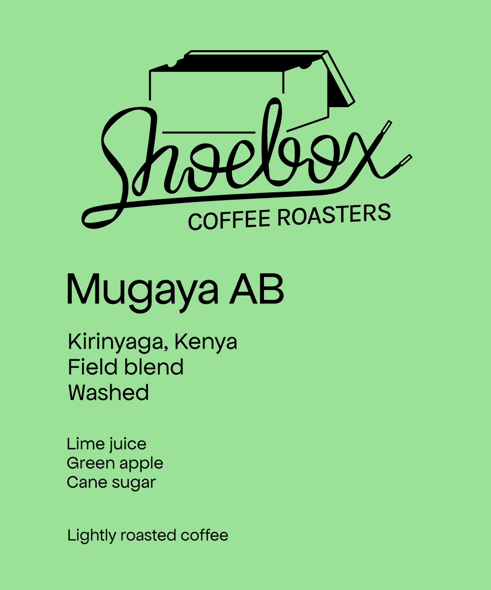 Kenya Mugaya AB Washed