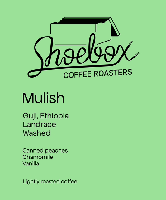 Ethiopia Mulish Washed