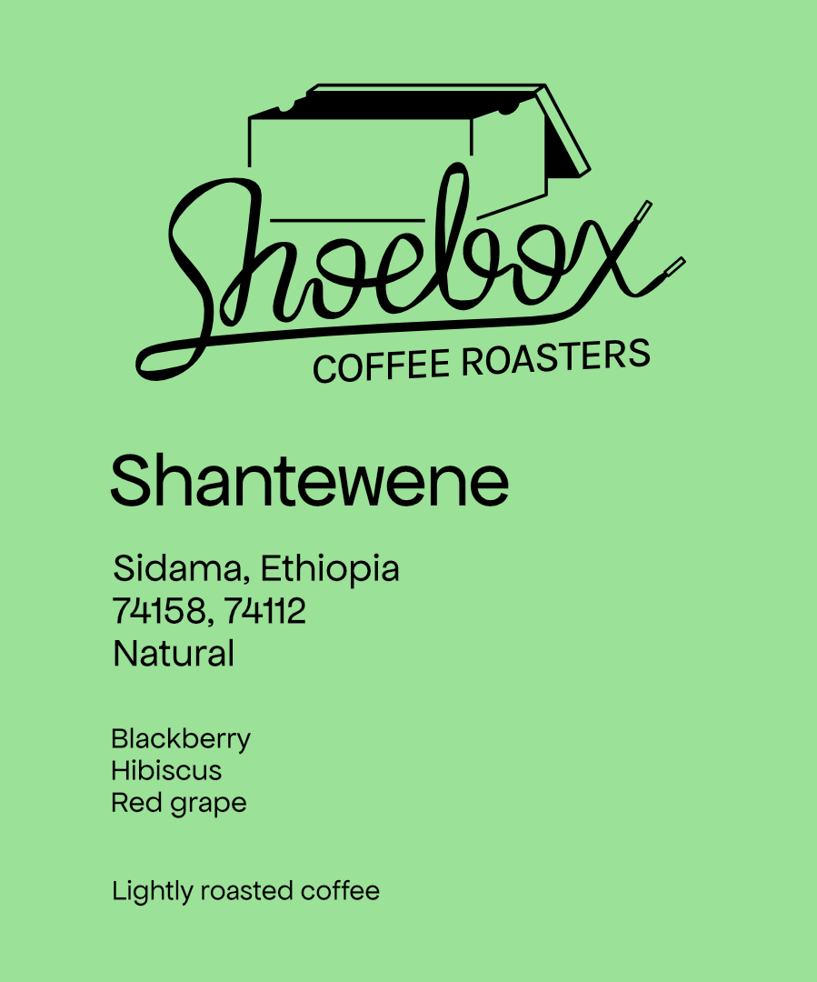 Ethiopia Shantewene Natural