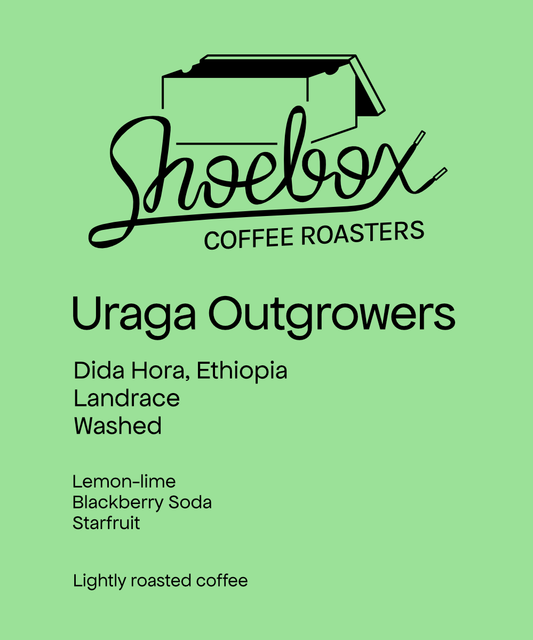 Ethiopia Uraga Outgrowers Washed